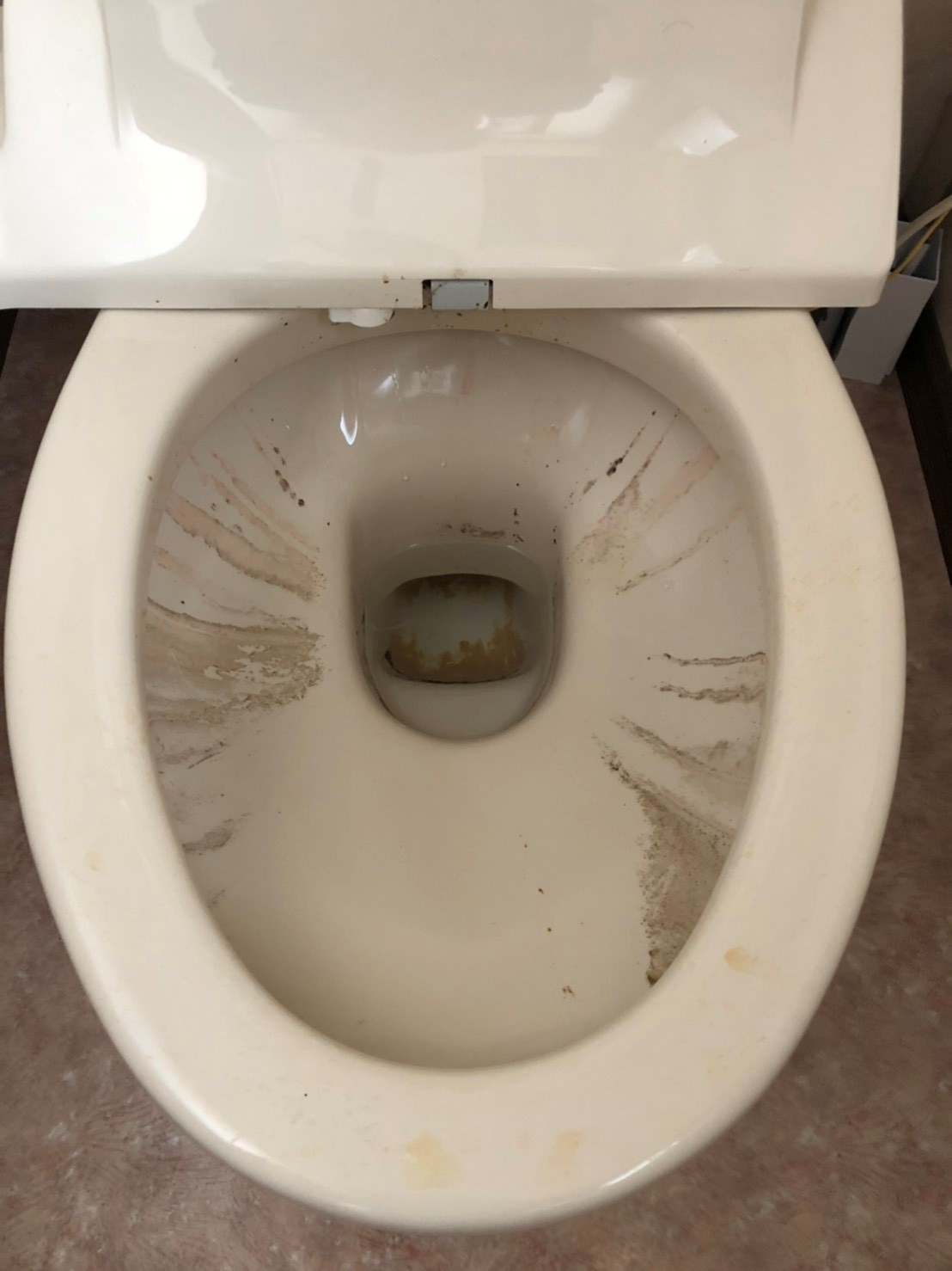 トイレクリーニング